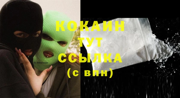 стаф Алзамай