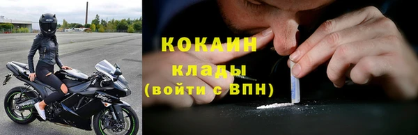 стаф Алзамай