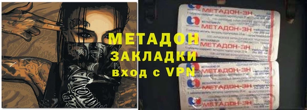 стаф Алзамай